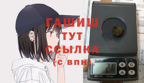 сатива Няндома