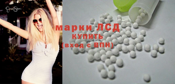 сатива Няндома