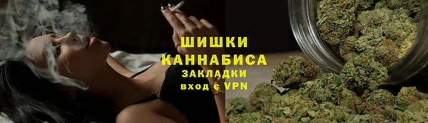 прущие грибы Нягань