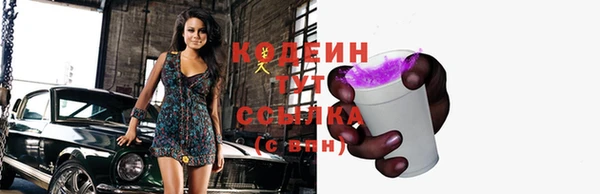 прущие грибы Нягань