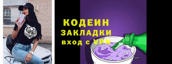 сатива Няндома