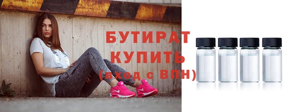 сатива Няндома