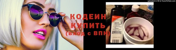 прущие грибы Нягань