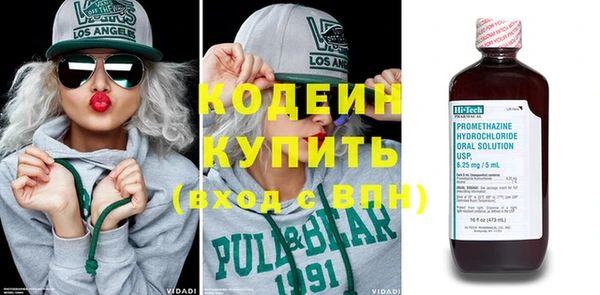 сатива Няндома