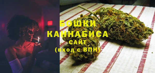 сатива Няндома