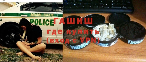 сатива Няндома