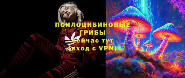 сатива Няндома