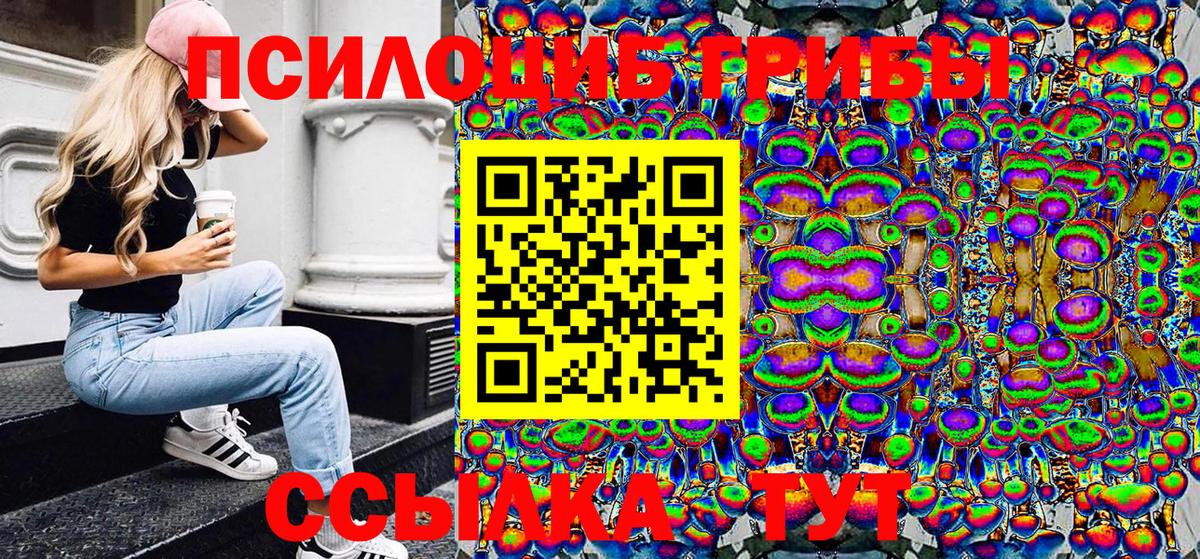 Галлюциногенные грибы Psilocybine cubensis Баксан