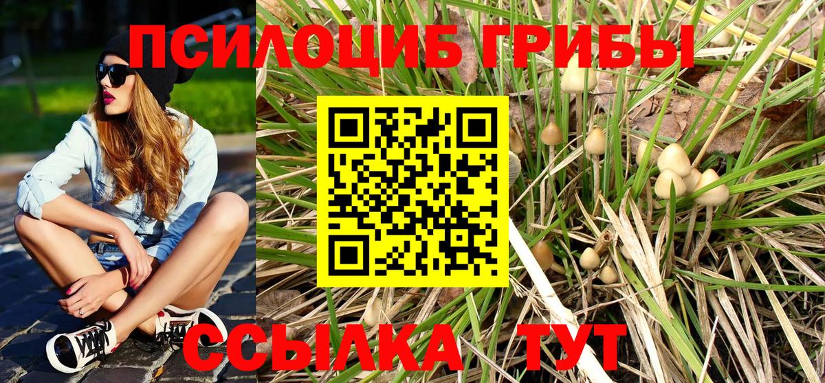 Псилоцибиновые грибы Psilocybe  Вход с VPN  Баксан  Псилоцибиновые грибы ЛСД 